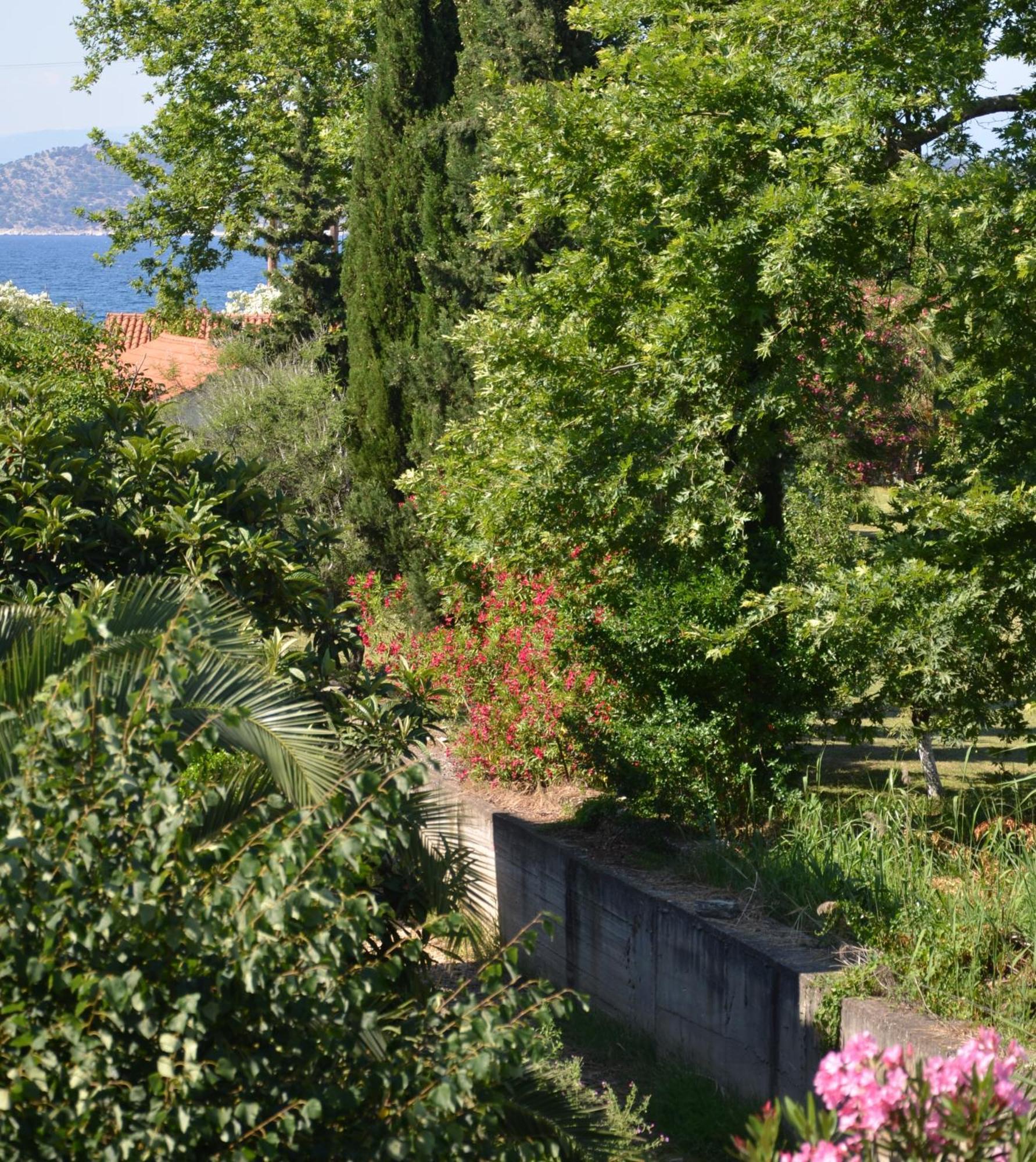 Hotel Egeo Limenas  Zewnętrze zdjęcie